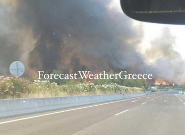 Οι φλόγες από τη φωτιά στην Υλίκη Βοιωτίας φτάνουν στην εθνική οδό Αθηνών - Λαμίας