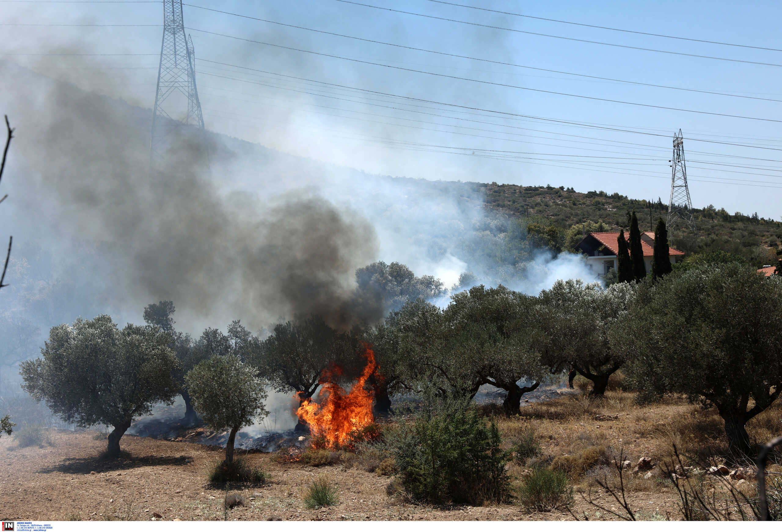 Meteo.gr για τη φωτιά στον Κουβαρά: 50 χλμ την ώρα οι άνεμοι, ευνοϊκές συνθήκες για εξάπλωση της πυρκαγιάς