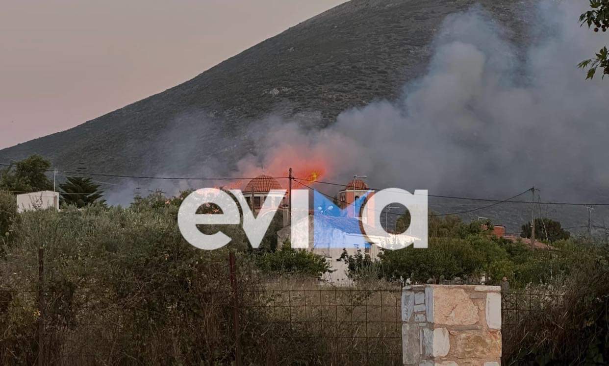 Εύβοια: Φωτά κοντά στο εργοστάσιο της ΔΕΗ