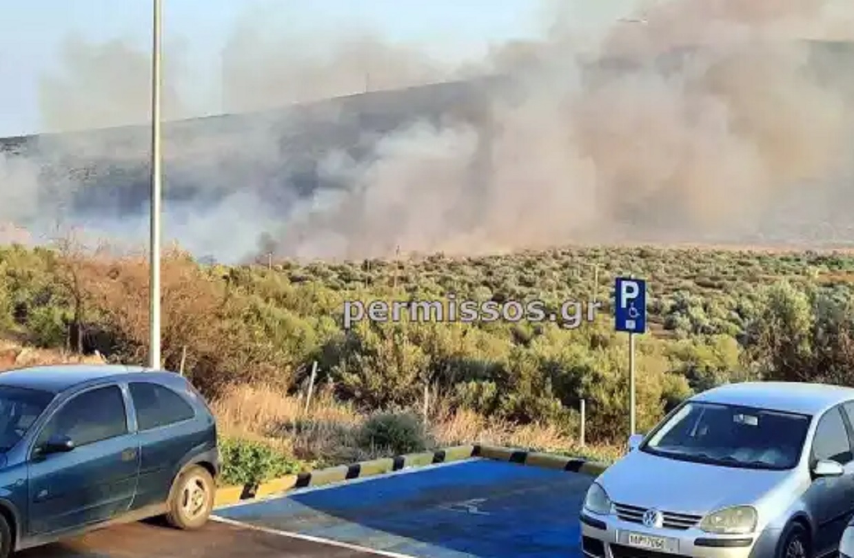 Φωτιά σε δάσος στη Βοιωτία στην περιοχή Πρόδρομος