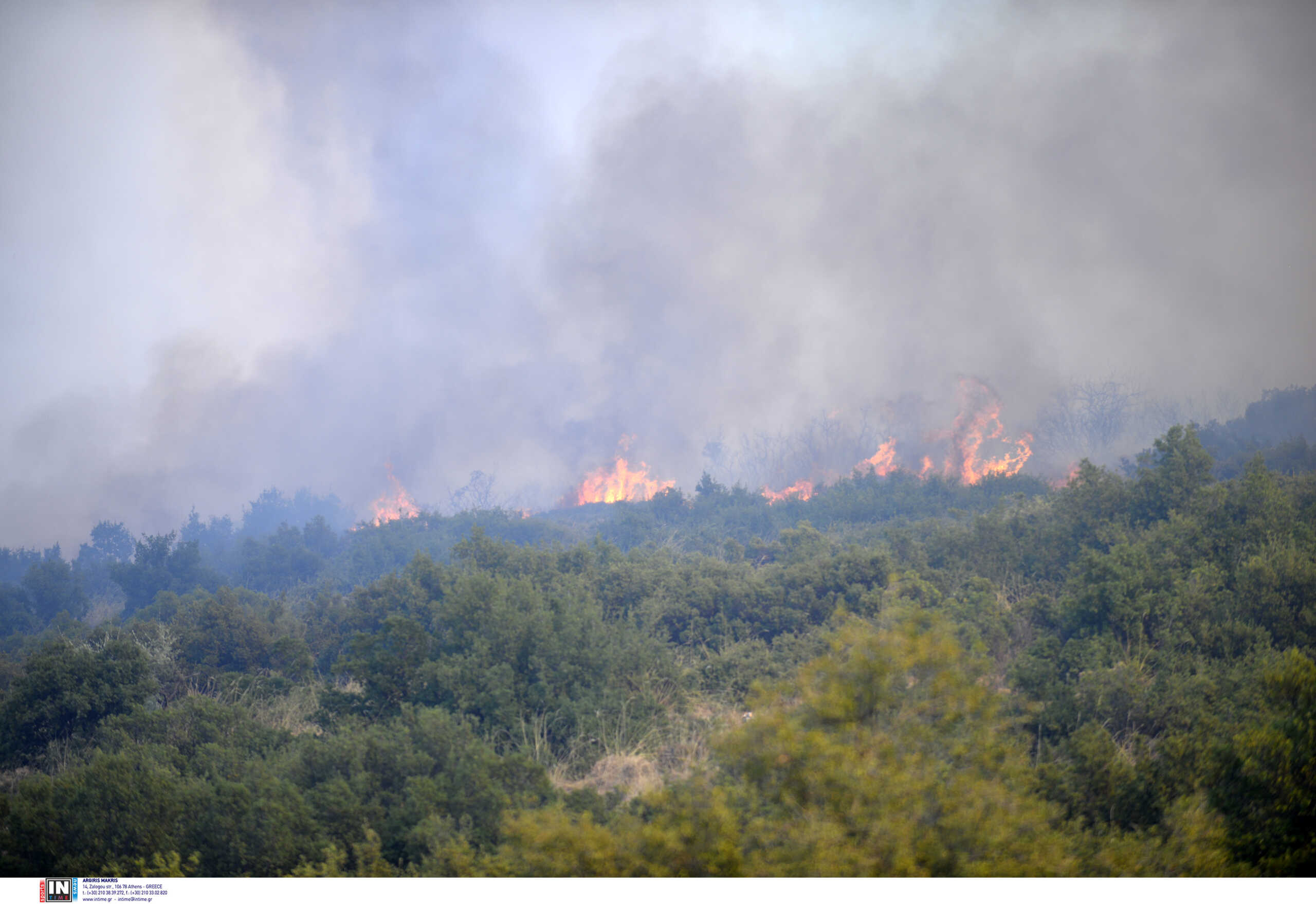 Φωτιά στη Μεσσηνία: Σύλληψη στην Καλαμάτα για πρόκληση πυρκαγιάς από αμέλεια