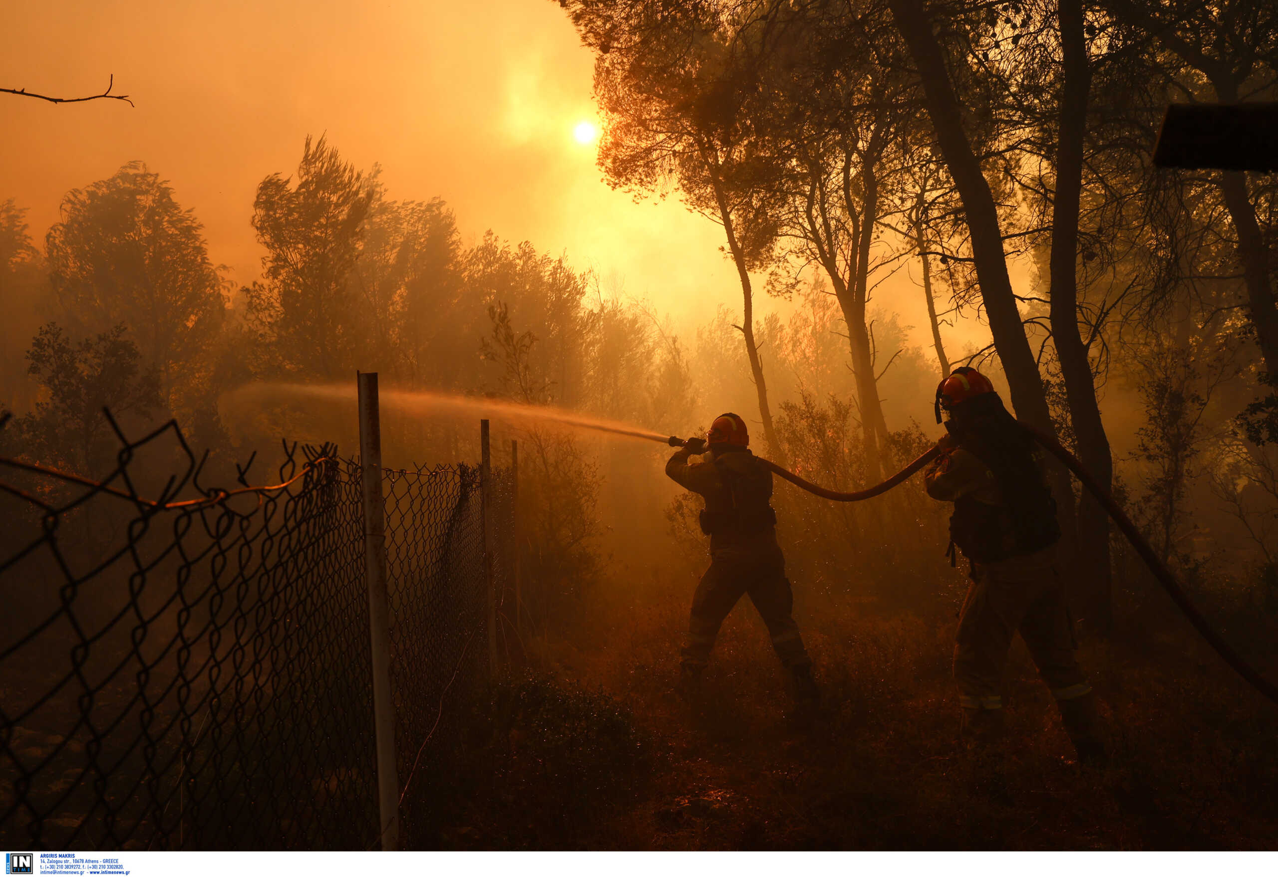 Φωτιές: Ξέσπασαν 64 δασικές πυρκαγιές σε μία μέρα – Η επίσημη ενημέρωση της πυροσβεστικής