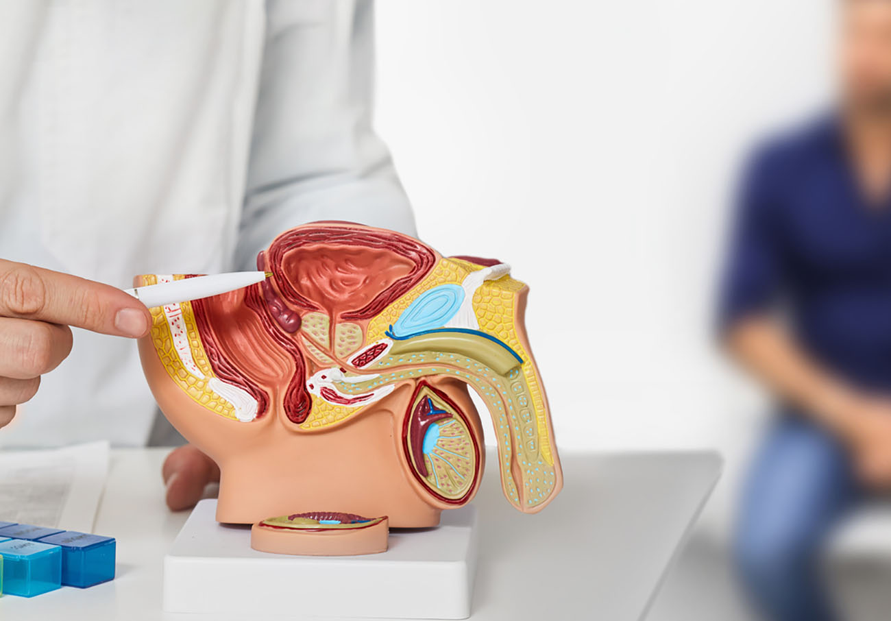 Urologist consultation for male patient. Urology and andrology, treatment of men's diseases and prostatitis