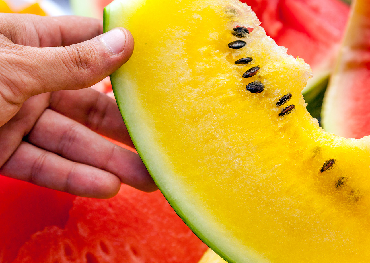 Juicy slice of ripe yellow watermelon