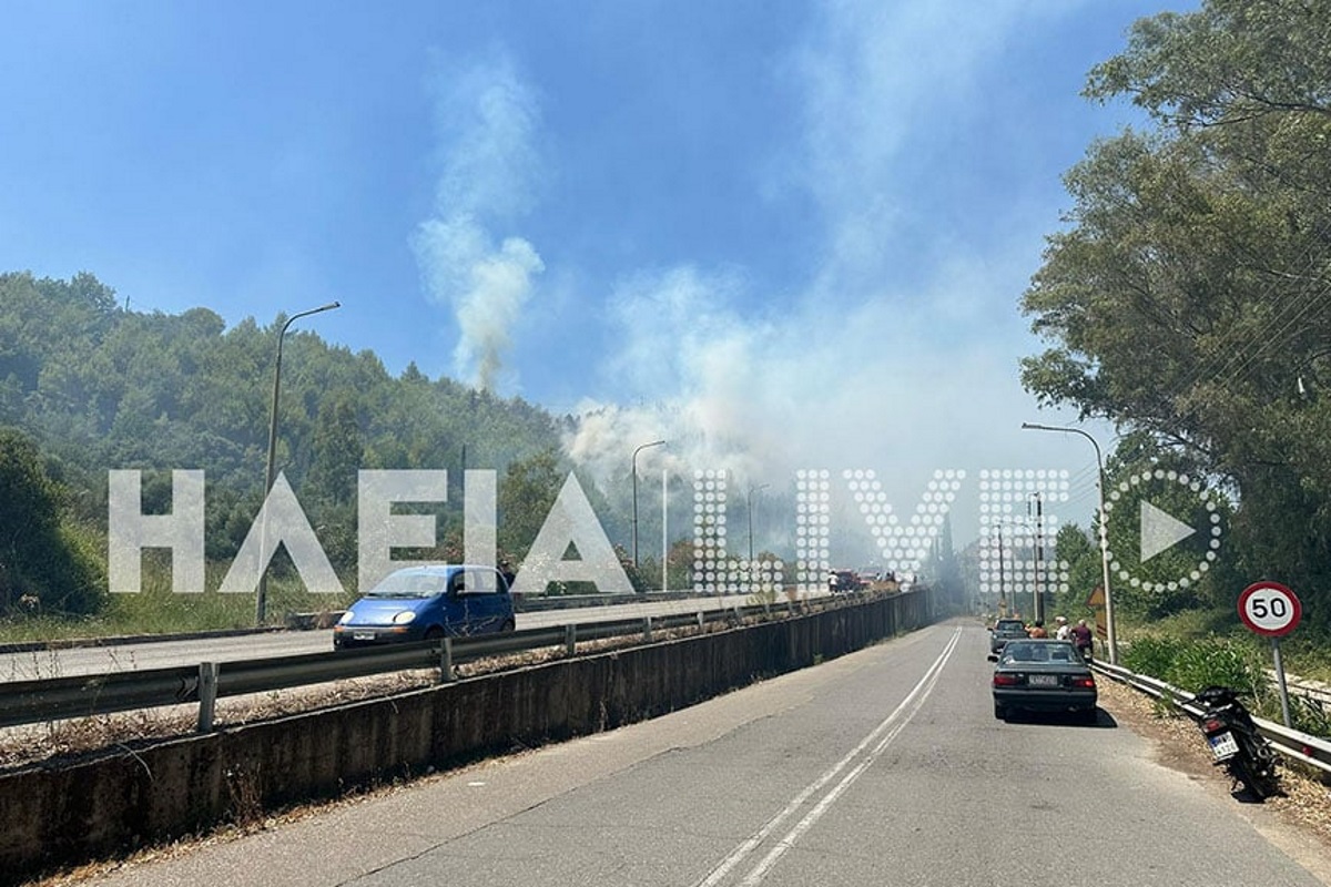 Φωτιά στην Ηλεία: Μάχη σε πολλαπλά μέτωπα – Μήνυμα του 112 σε 4 οικισμούς