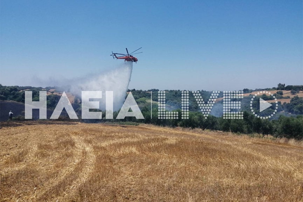 Φωτιά στην Ηλεία – Καίει σε χωράφι κοντά σε δάσος