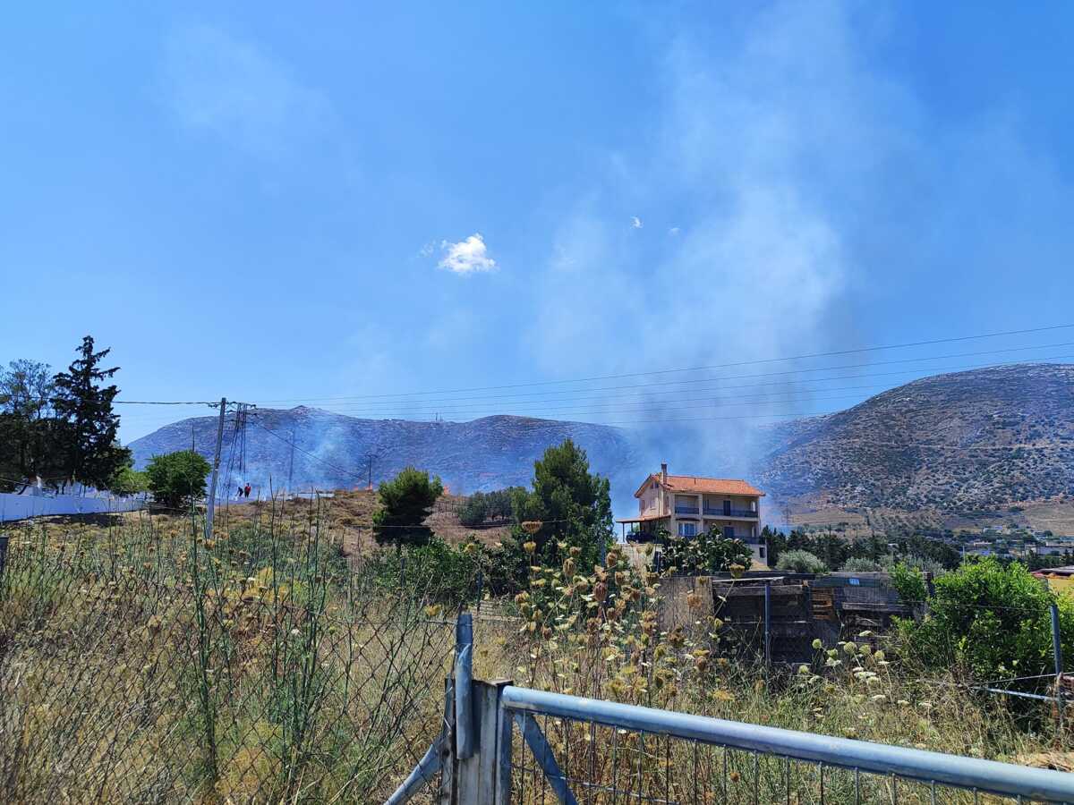 Κερατέα: Στο αυτόφωρο ένας άνδρας για τη φωτιά – Έκαιγε ξερά χόρτα