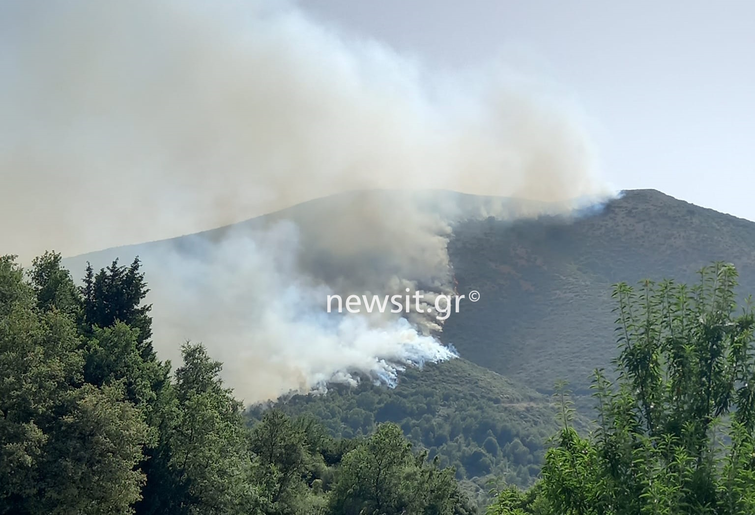 Φωτιά στην Κέρκυρα: Μεγάλη αναζωπύρωση – Οι φλόγες πλησιάζουν το χωριό Λούτσες
