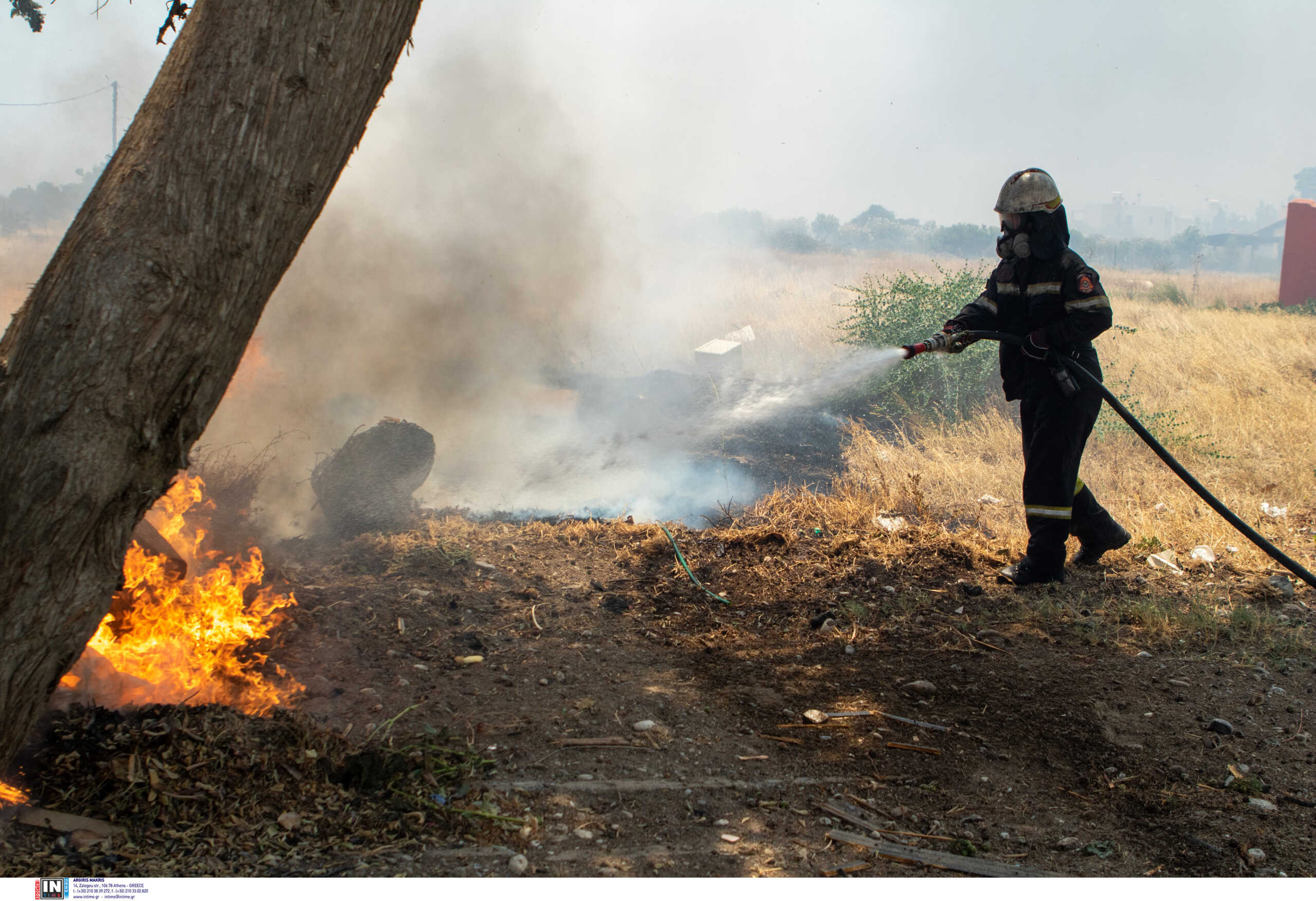 Φωτιά στα Μέγαρα: Τέθηκε υπό έλεγχο η φωτιά που ξέσπασε σε περιοχή με χαμηλή βλάστηση