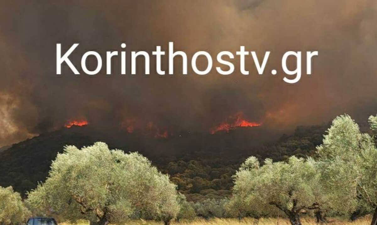 Φωτιά στη Λακωνία: Αναζωπύρωση στο Πυρί