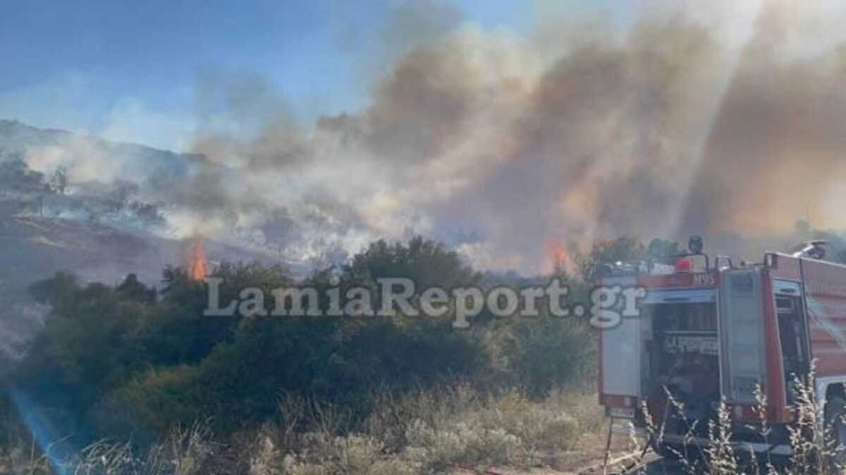Φωτιά στη Λαμία σε δάσος στον Προφήτη Ηλία