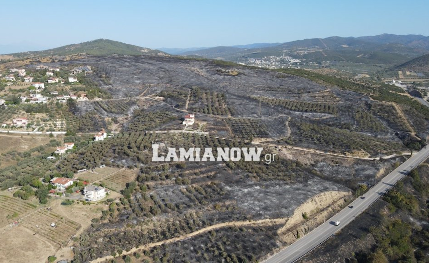 Φωτιά στη Λαμία: Σεληνιακό τοπίο μετά το πέρασμα της πύρινης λαίλαπας – Παντού στάχτη και αποκαΐδια