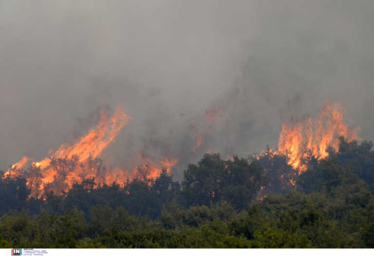 Φωτιά στο Αγρίνιο - Επίγειες και εναέριες δυνάμεις στη μάχη με τις φλόγες