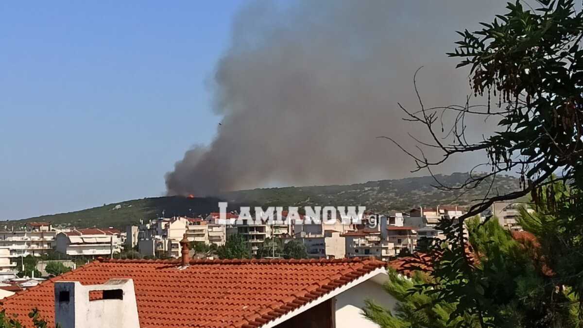 Φωτιά στη Λαμία: Νέος συναγερμός στο πίσω μέρος του Αφανού