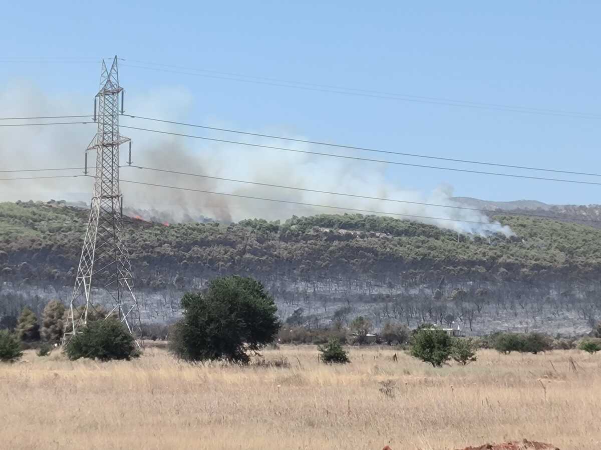 Φωτιά στην Μάνδρα: Αναζωπύρωση στο Καραούλι