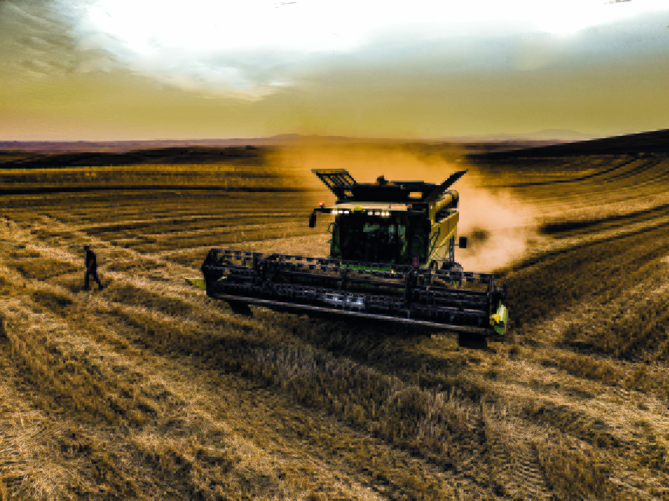 melissa tasosvrettos