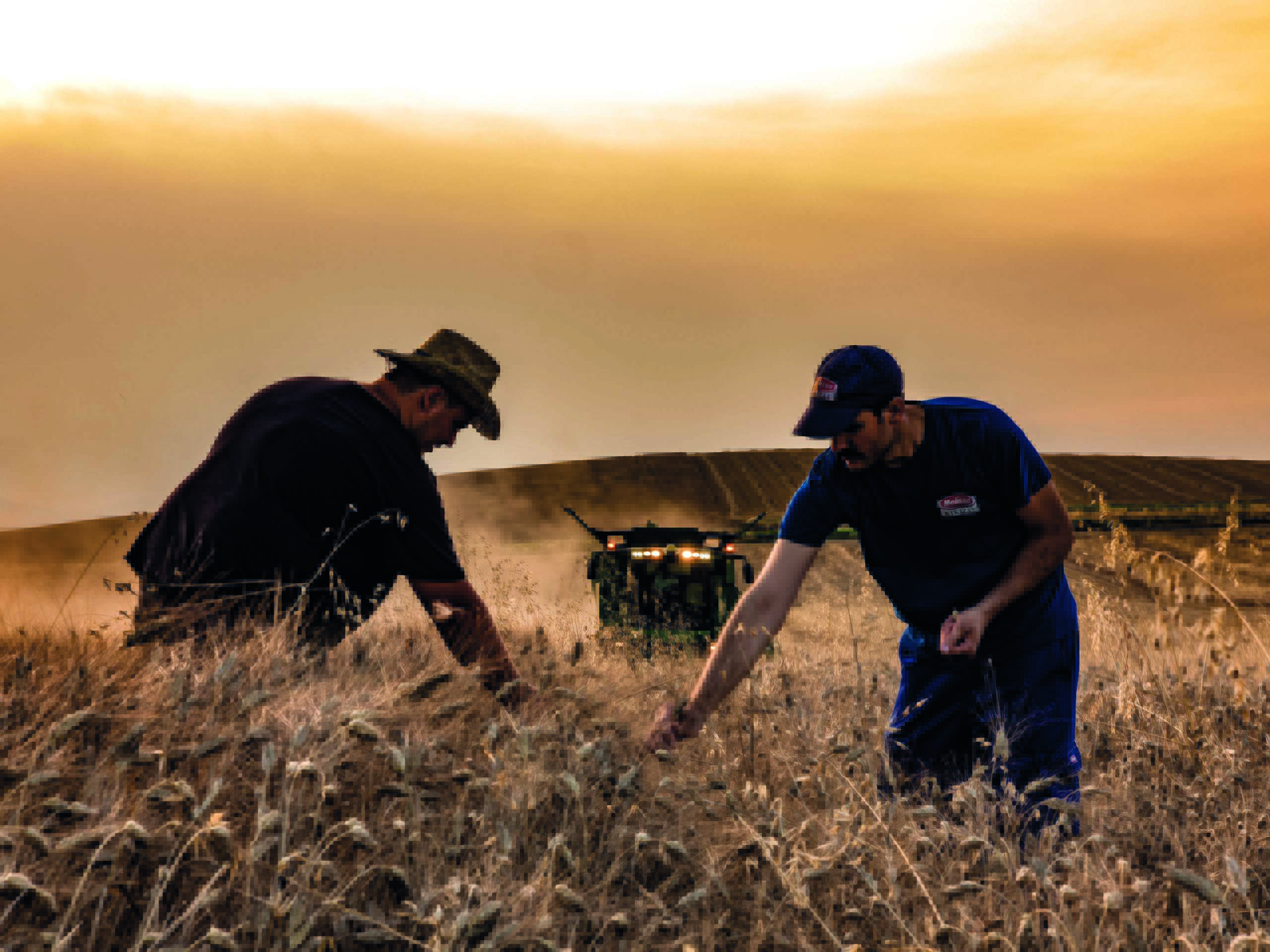 melissa tasosvrettos