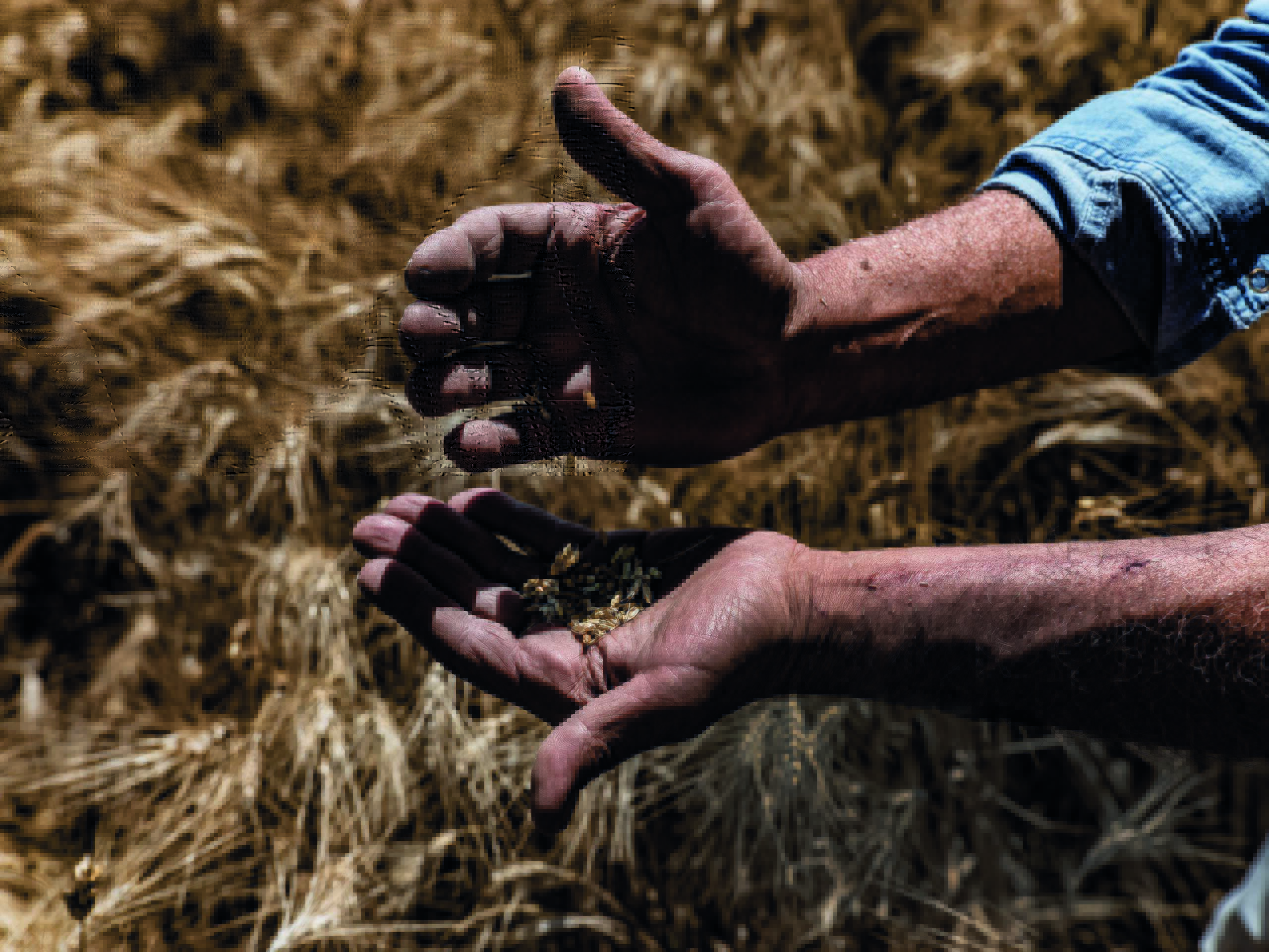 melissa tasosvrettos