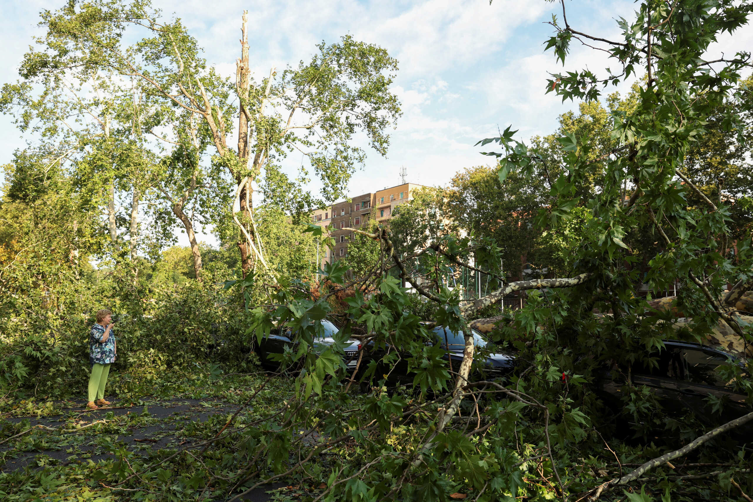 A view shows fallen trees following thunderstorms and torrential rain in Milan, Italy July 25, 2023. REUTERS