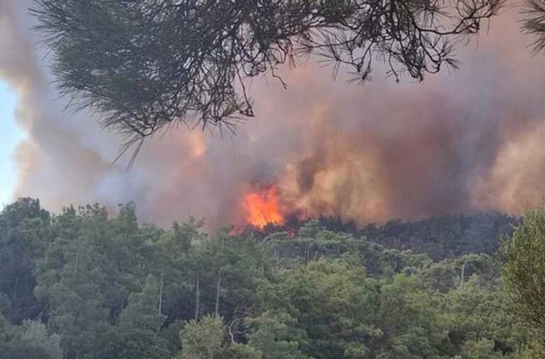 Πολύ υψηλός κίνδυνος πυρκαγιάς και την Πέμπτη (20.7.2023) σε Αττική, Στερεά Ελλάδα και Πελοπόννησο