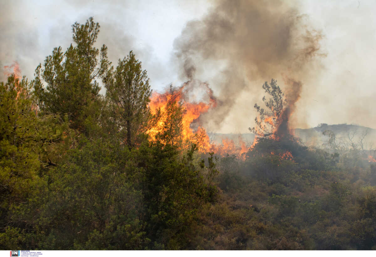 Φωτιά στη Μεσσηνία: Πυρκαγιά στον Άγιο Φλώρο