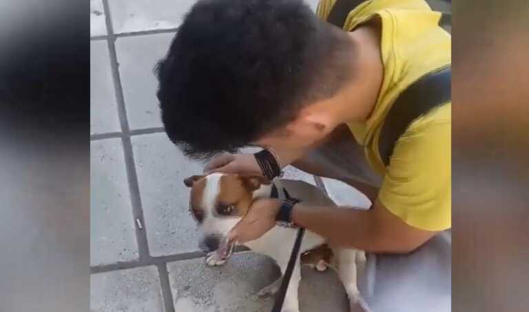 Η στιγμή που σκύλος «Τζακ Ράσελ» ξανασμίγει με το αφεντικό του μετά από 5 χρόνια στη Θεσσαλονίκη