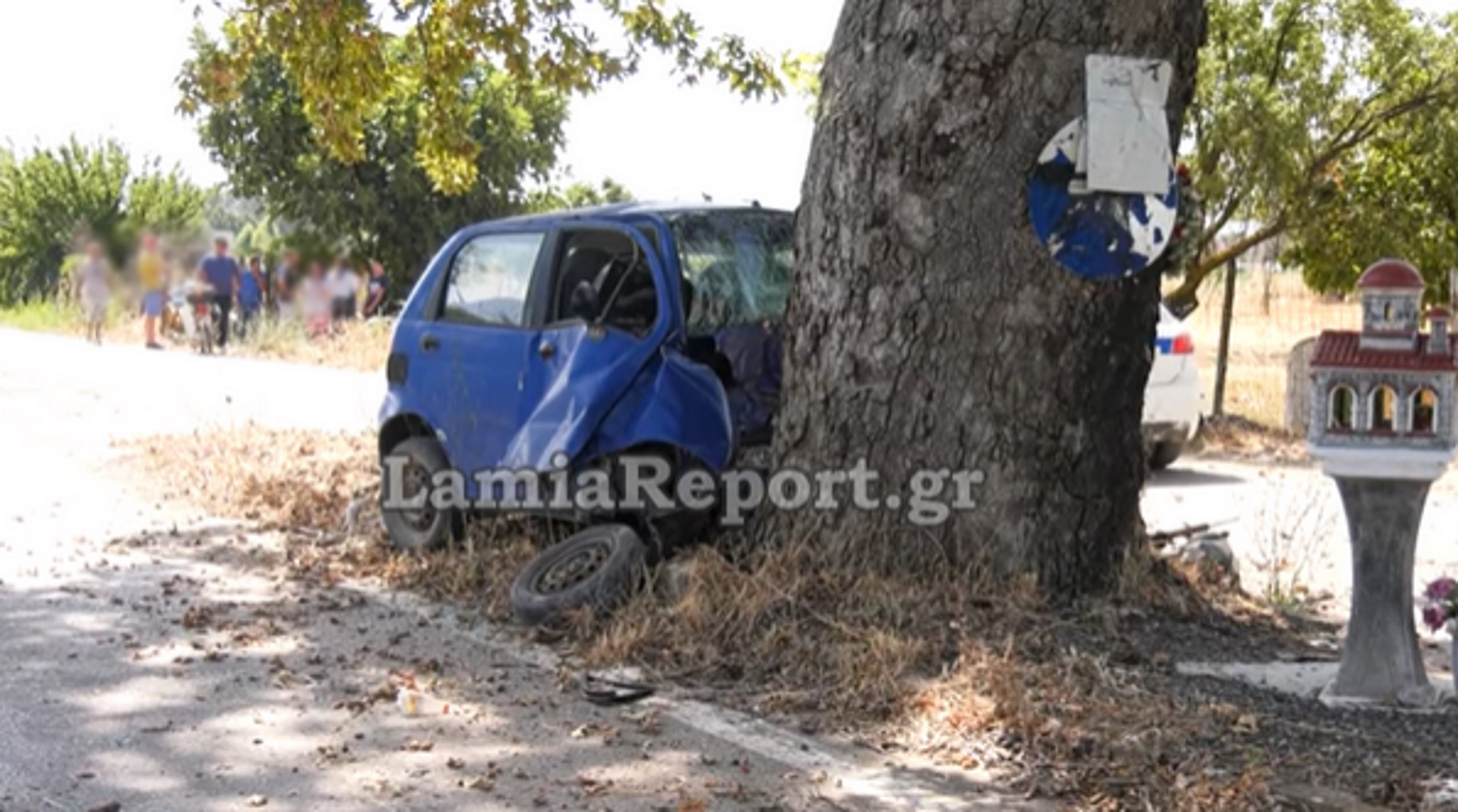 Βοιωτία: Έπεσε σε δέντρο στη μέση του δρόμου και σκοτώθηκε – Εικόνες μετά το τροχαίο