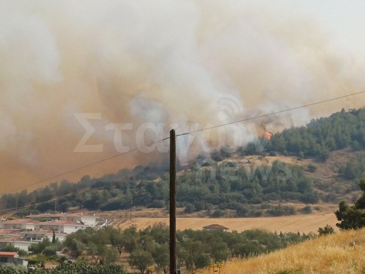 Φωτιά στο Βελεστίνο: Κτηνοτρόφος έμεινε για να σώσει τα ζώα του και βρήκε τραγικό θάνατο