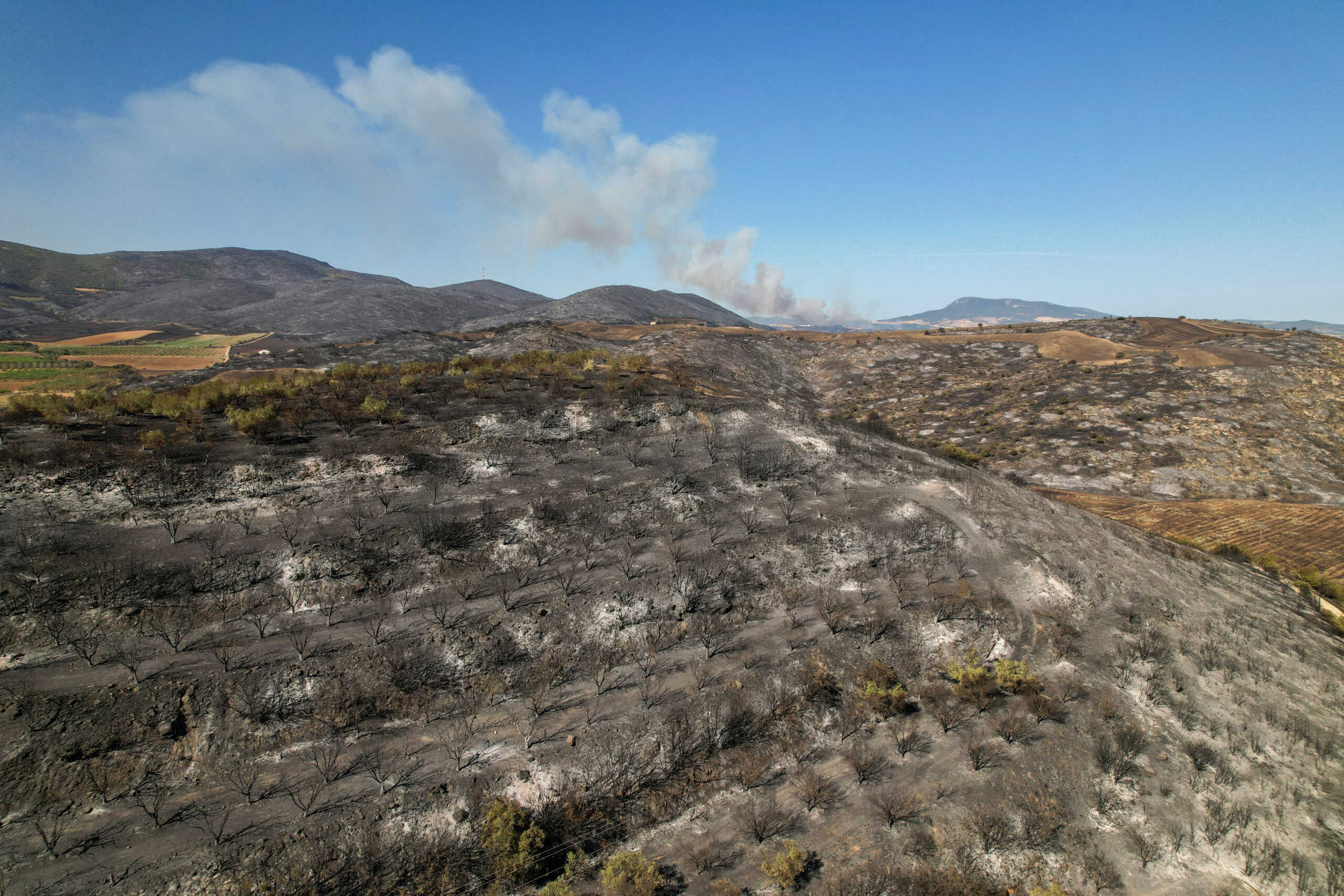 Smoke rises as a wildfire burns near the city of Volos, in central Greece, July 27, 2023. REUTERS
