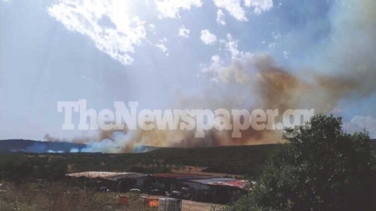 Πύρινα μέτωπα σε όλη τη χώρα! Φωτιά κοντά στις Γλαφυρές Μαγνησίας στο πεδίο βολής του Στρατού - «Ακούγονται εκρήξεις»