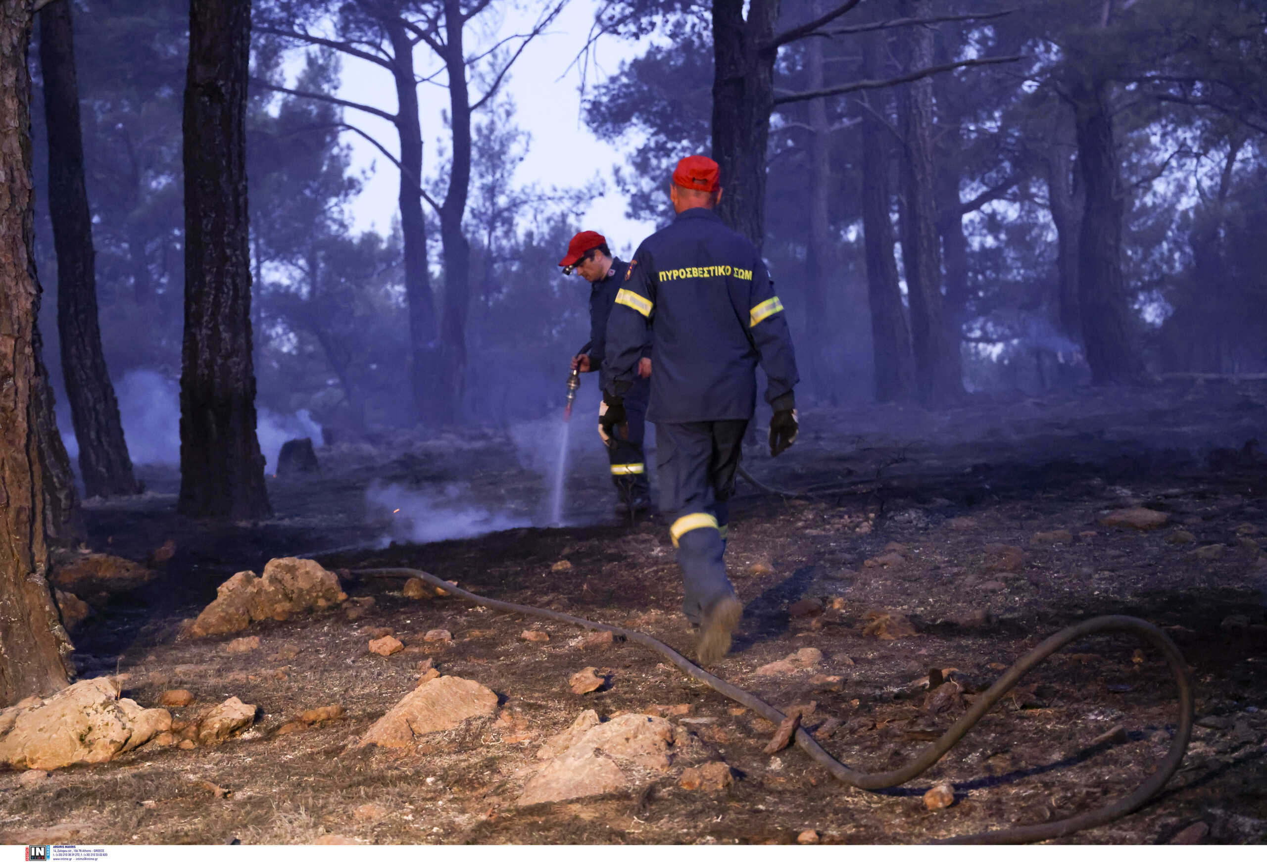 Φωτιά στη Χίο: Τέθηκε υπό πλήρη έλεγχο – Στάχτη 600 στρέμματα δάσους