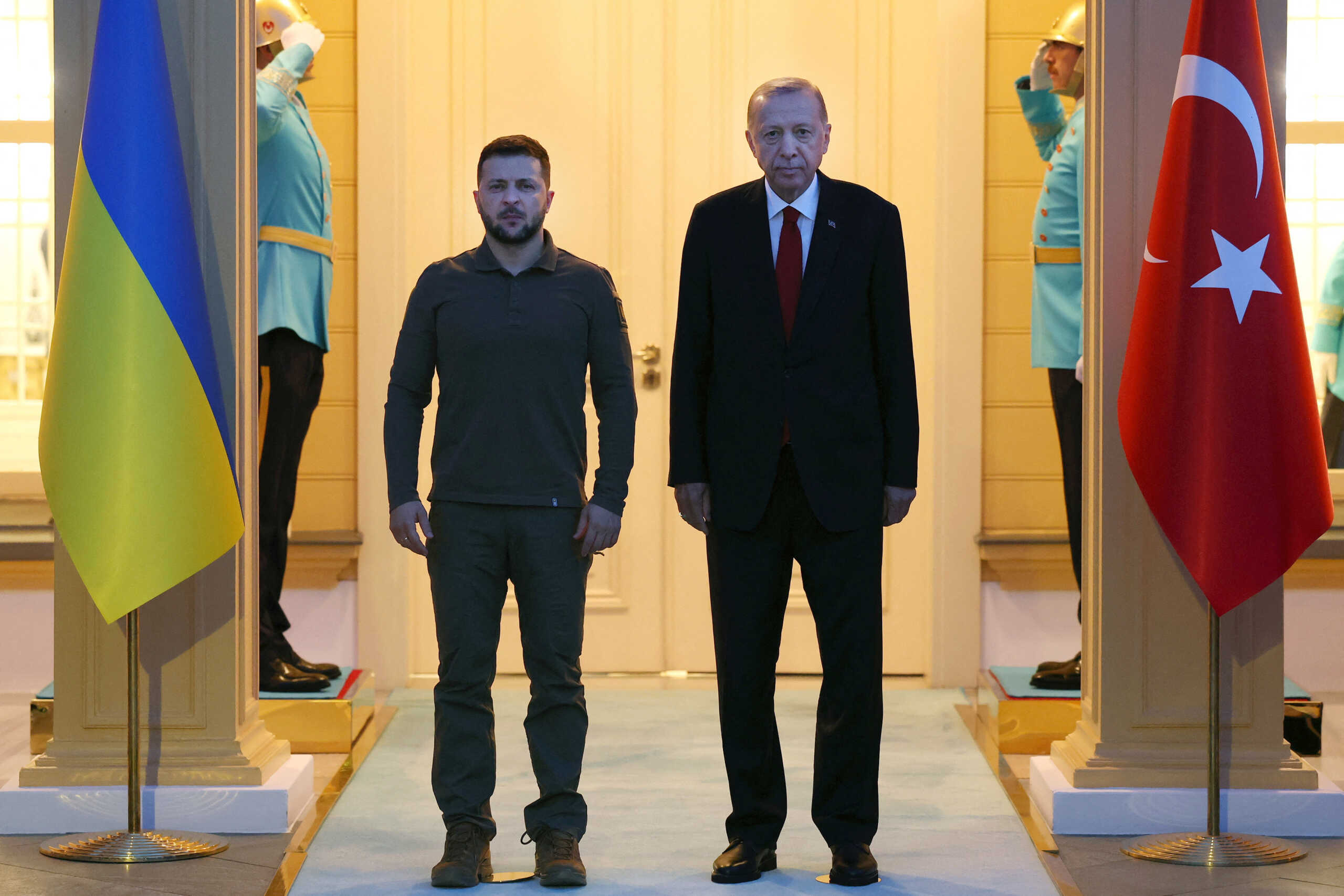 Turkish President Tayyip Erdogan meets with Ukraine's President Volodymyr Zelenskiy in Istanbul, Turkey July 7, 2023. Turkish Presidential Press Office