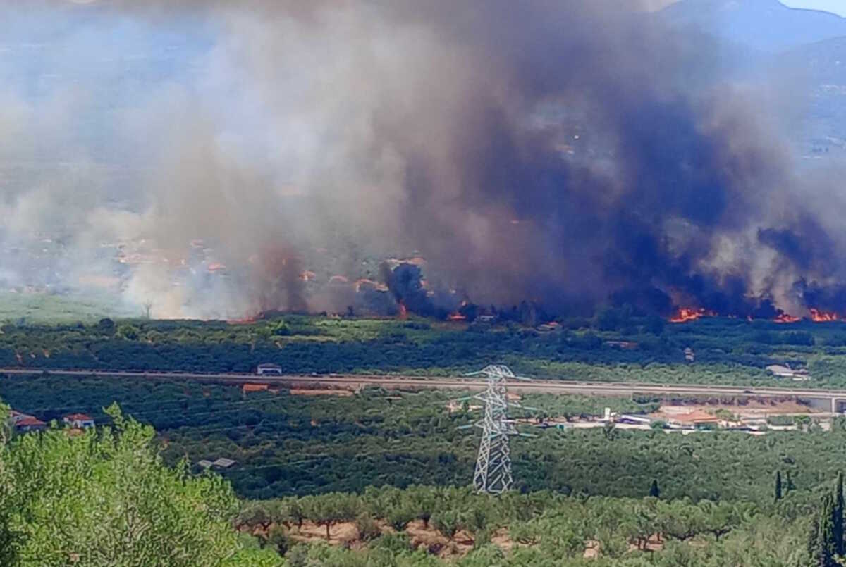 Φωτιά στη Μεσσηνία: Μήνυμα από το 112 για εκκένωση της Ασπροπουλιάς