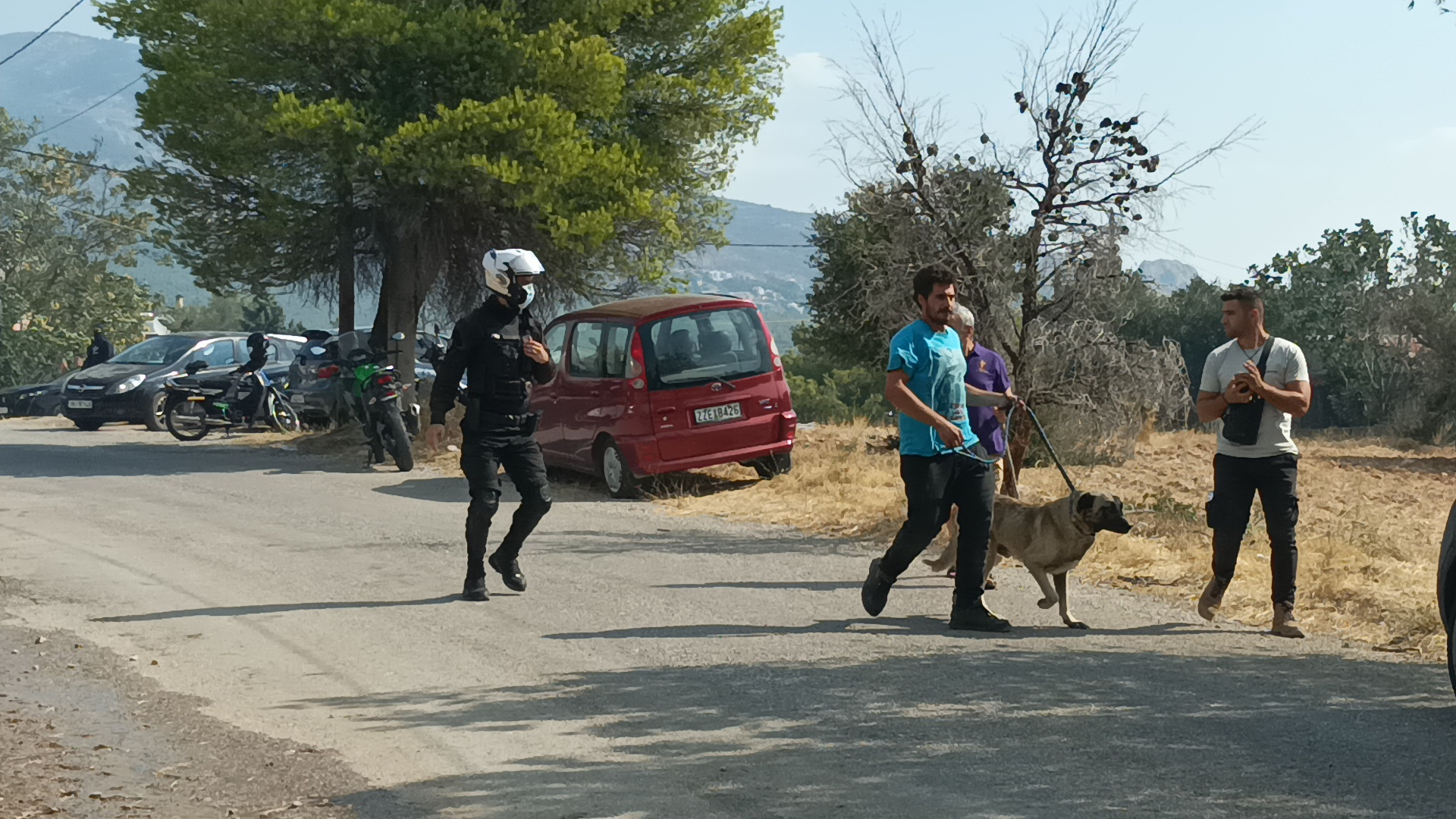 Φωτιά στην Πάρνηθα: Εκκενώνεται ο οικισμός της Αγίας Παρασκευής στο Μενίδι