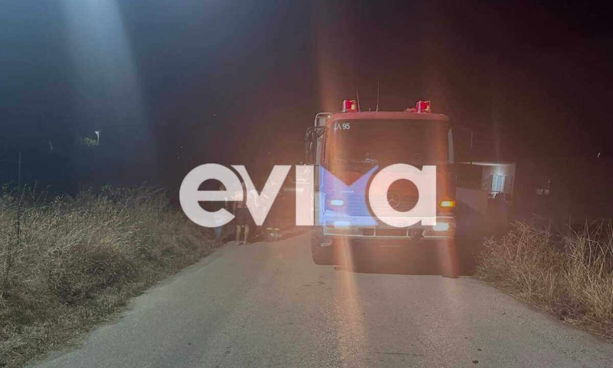 Φωτιά σε χωριό της Εύβοιας δίπλα σε σπίτια – «Είδαμε τον εμπρηστή και τη σβήσαμε»