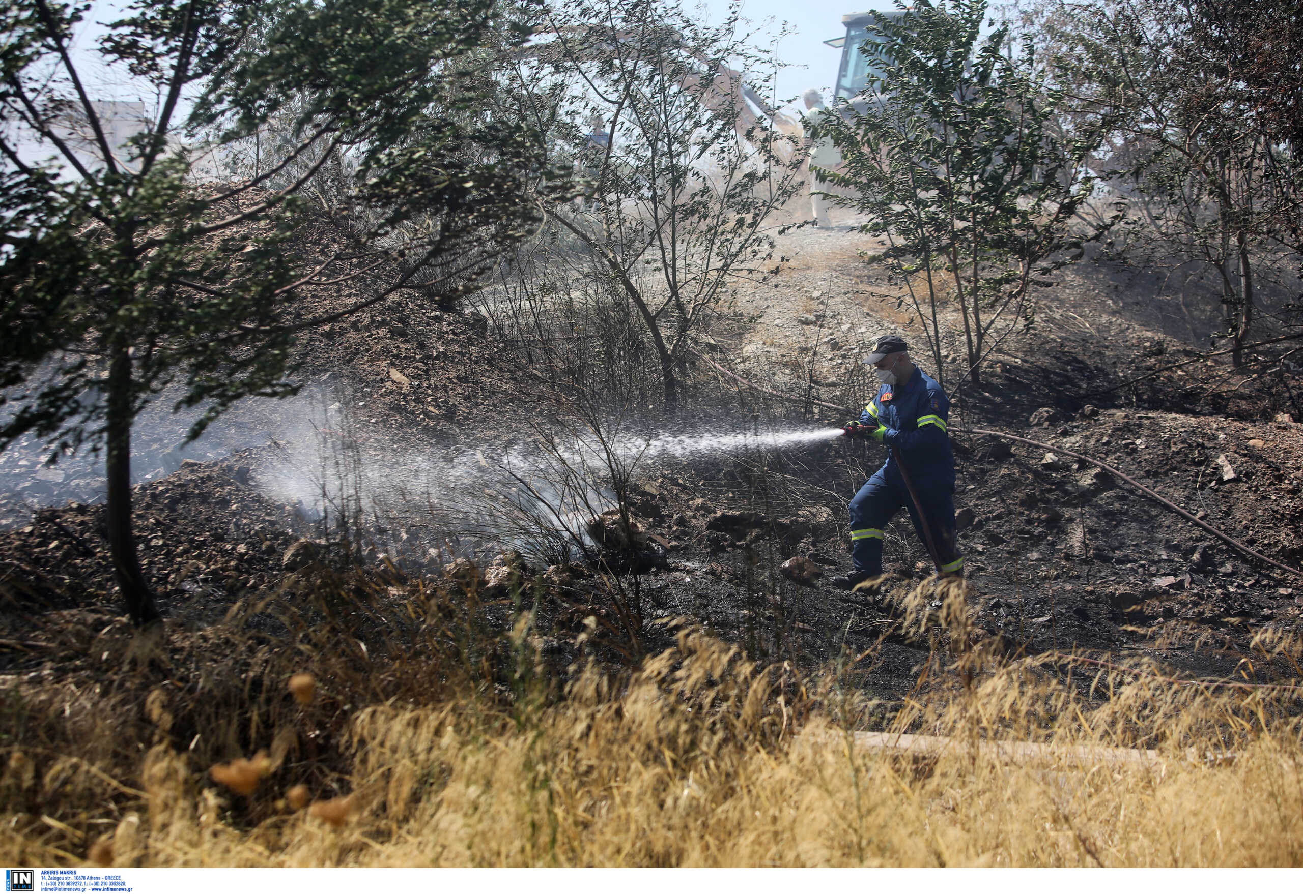 Κρήτη: Συνελήφθη 57χρονος για φωτιά που έκαψε 2 στρέμματα