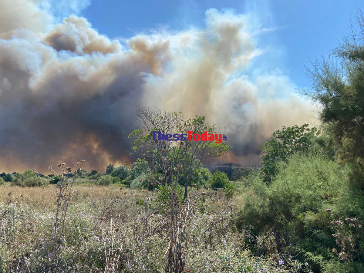 Φωτιά ανάμεσα σε Καλοχώρι και Σίνδο στη Θεσσαλονίκη