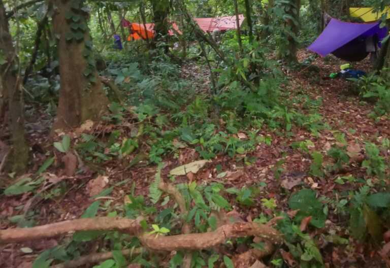Γουατεμάλα: 4 Γάλλοι τουρίστες εξαφανίστηκαν στη ζούγκλα μετά από επίσκεψη σε αρχαιολογικό χώρο