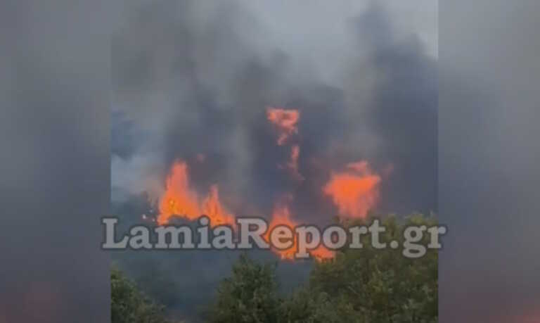 Μήνυμα 112 στο χωριό Βίτολη Μακρακώμης - Ανεξέλεγκτη η μεγάλη φωτιά απειλεί σπίτια
