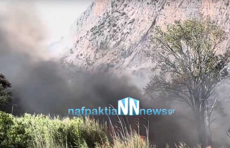 Βίντεο από τη μεγάλη φωτιά στο Κρυονέρι Ναυπακτίας - Καναντέρ βουτάει πάνω από τις φλόγες