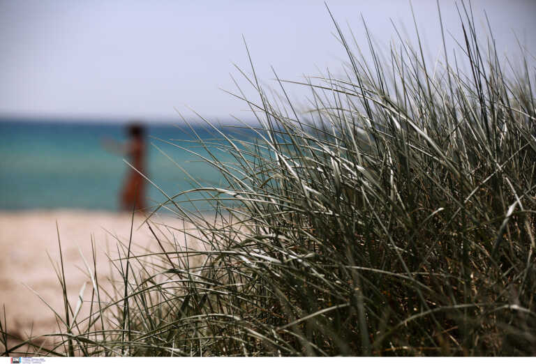 Καταγγελία μητέρας ότι beach bar της απαγόρευσε να ταΐσει τα παιδιά της στην παραλία