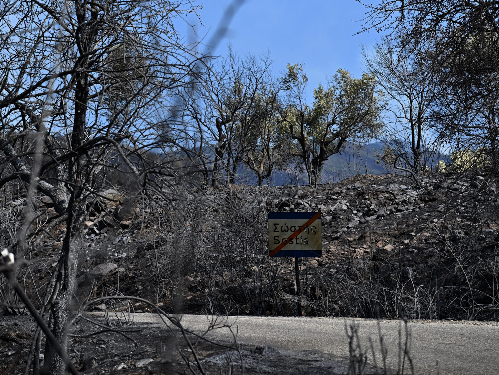 Φωτιά στη Ροδόπη: Μήνυμα του 112 για τους κατοίκους της Λεπτοκαρυάς να εκκενώσουν προς Σάπες