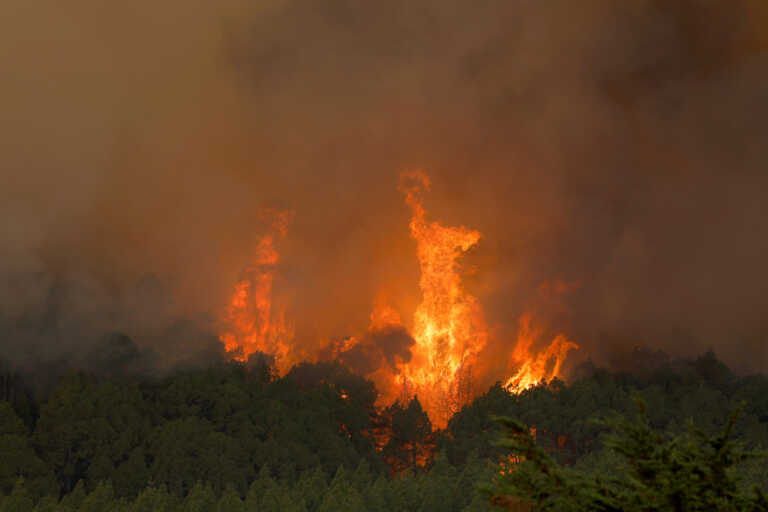 Ισπανία: Πυρκαγιά με περίμετρο 31 χιλιόμετρα κατακαίει την Τενερίφη – Απομακρύνθηκαν 3.800 κάτοικοι