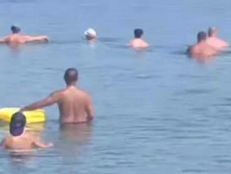 «Πάγωσαν» όταν είδαν το τεράστιο φεγγαρόψαρο που κολυμπούσε κοντά τους σε παραλία της Θεσσαλονίκης