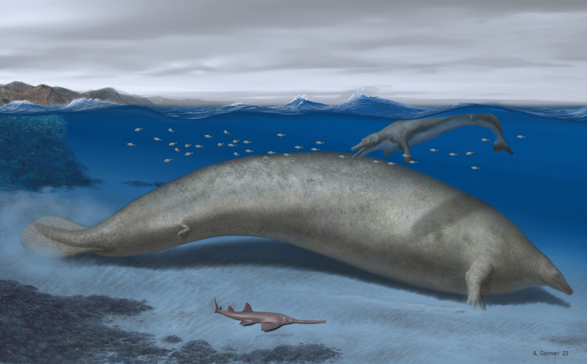 Αίγυπτος: Ανακαλύφθηκαν απολιθωμένα οστά φάλαινας ηλικίας 41 εκατομμυρίων ετών