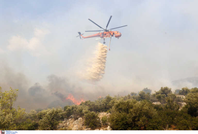 Ολοένα και αυξάνονται τα μέτωπα σε όλη τη χώρα - Φωτιά στο Άργος, επιχειρούν εναέριες κι επίγειες δυνάμεις