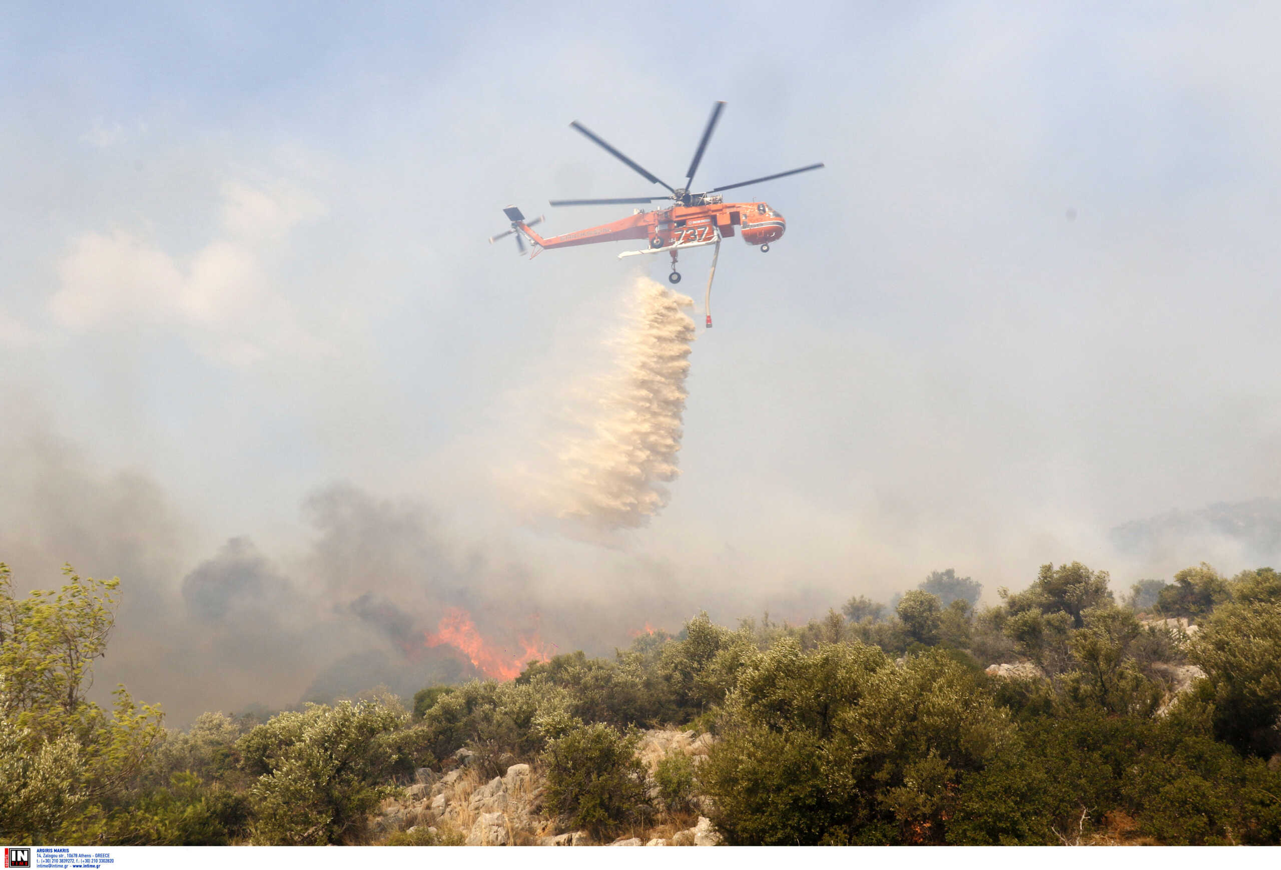 Φωτιά στη Λέσβο – Καίγεται δασική έκταση στο Αμπελικό