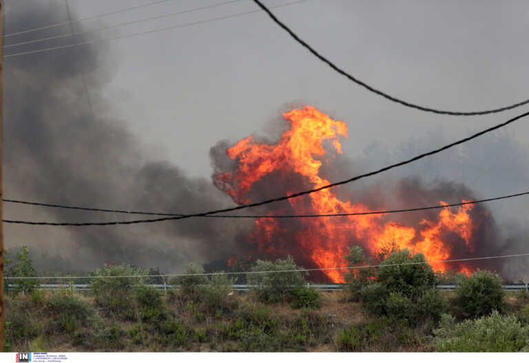 Μεγάλη αναζωπύρωση στη Δαδιά - Συνεχίζεται η μάχη με τις φλόγες στην Αλεξανδρούπολη
