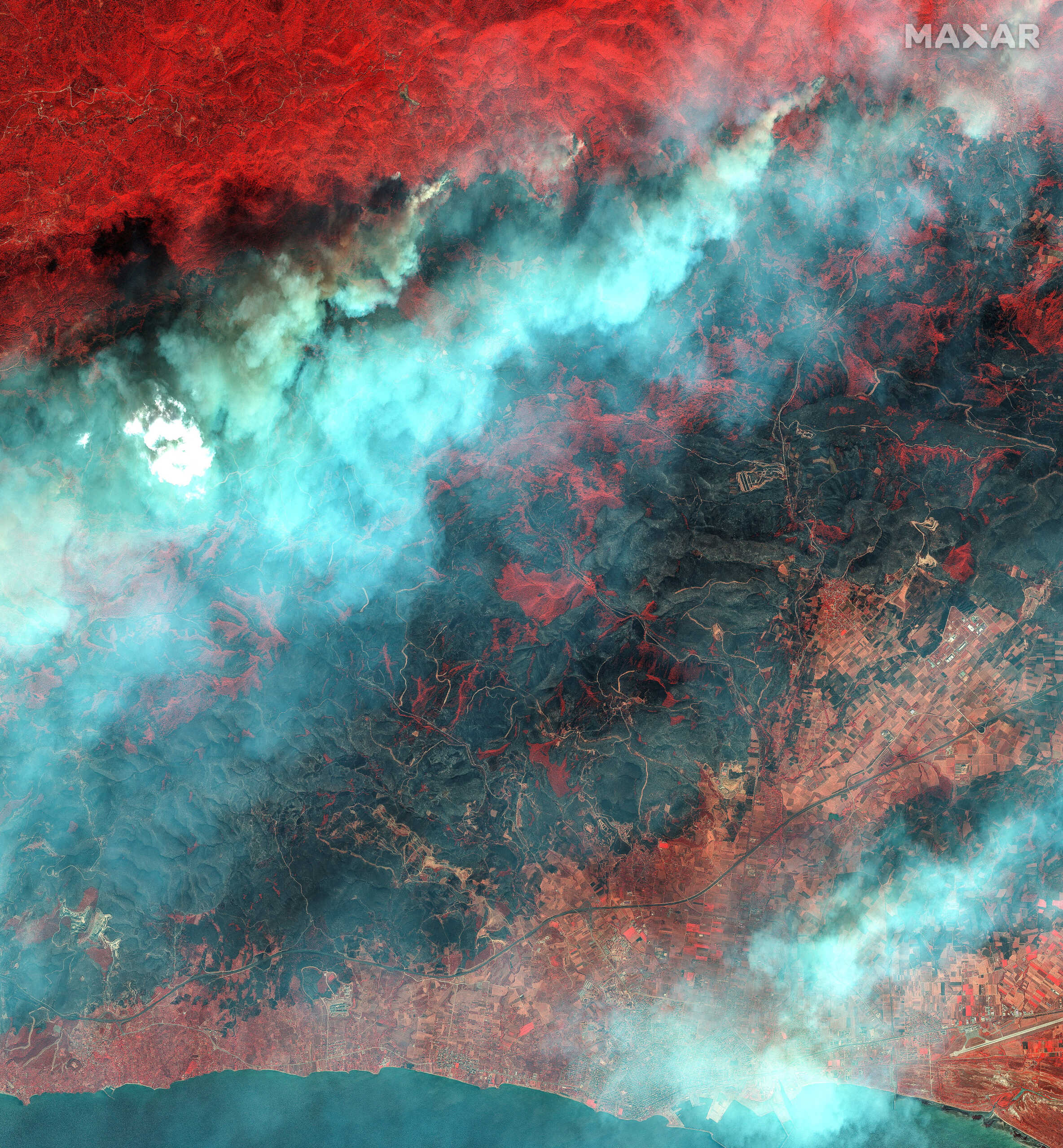 Αλεξανδρούπολη: Αποκαρδιωτικές εικόνες από δορυφόρο - Το πριν και το μετά της πυρκαγιάς