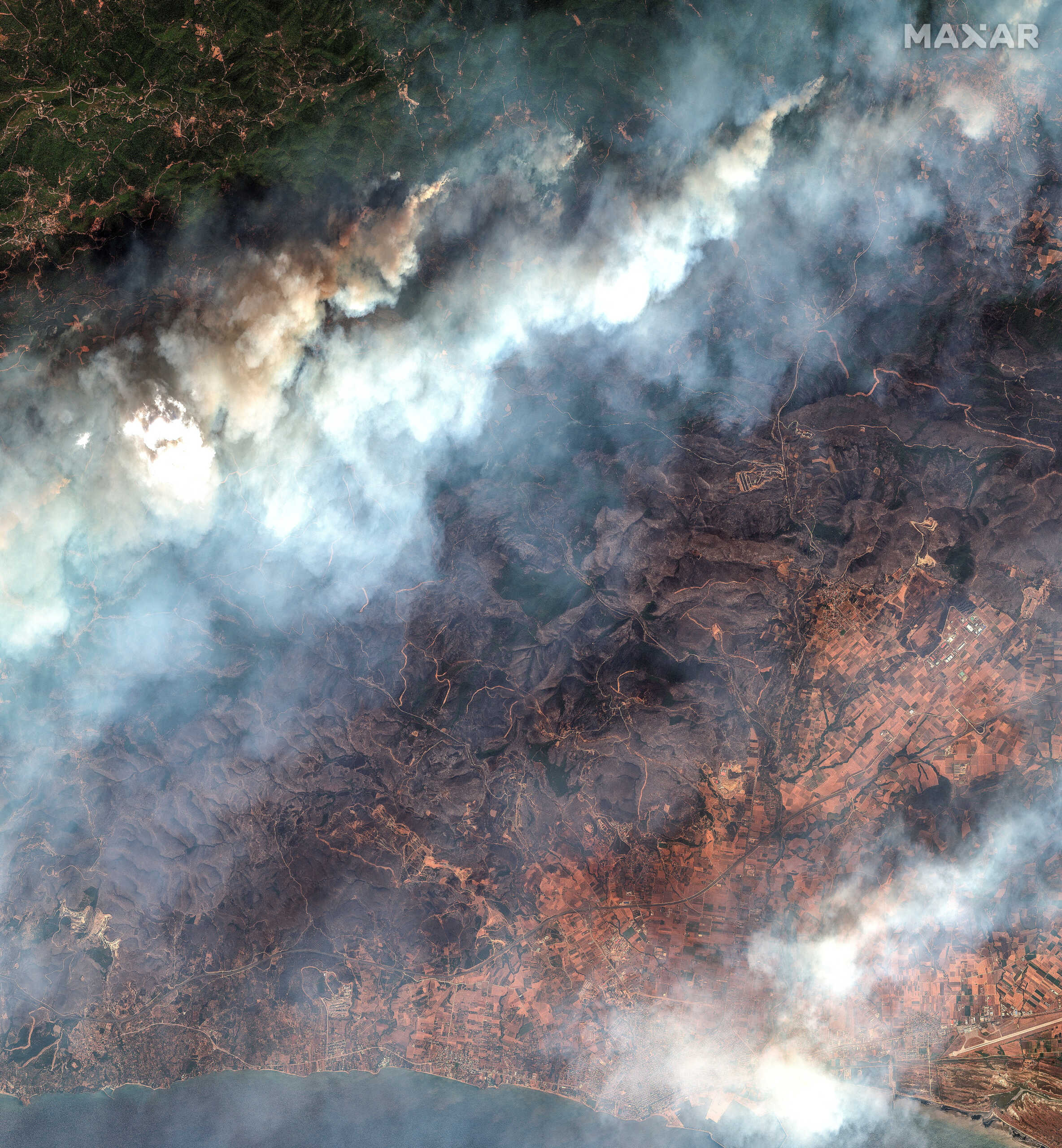 Φωτιά στην Αλεξανδρούπολη: Αποκαρδιωτικές εικόνες από τα καμένα – Δορυφόρος κατέγραψε το πριν και το μετά